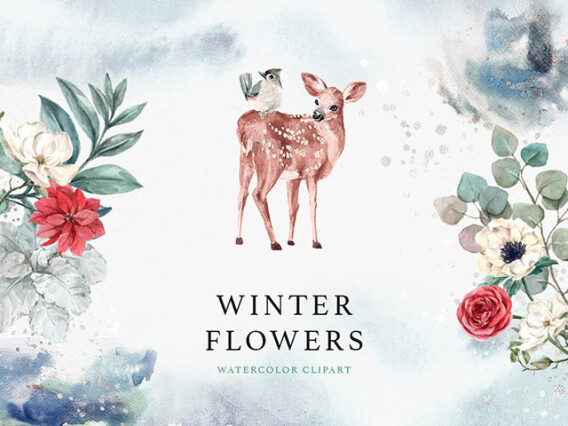 Winter Flowers Watercolor Clipart