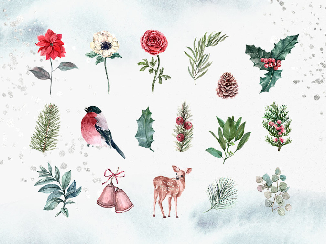 Winter Flowers Watercolor Clipart