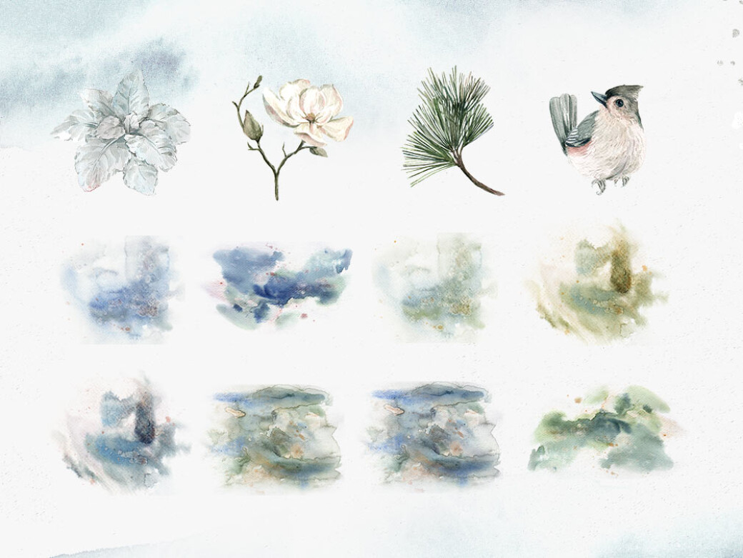 Winter Flowers Watercolor Clipart