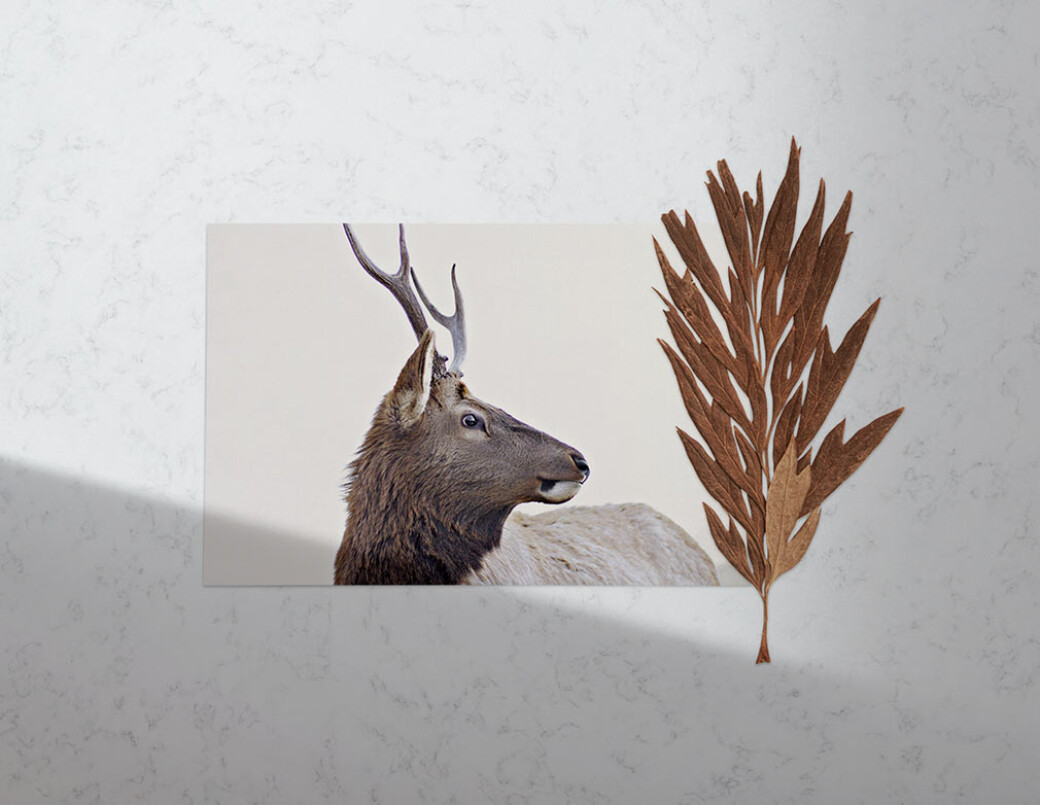 Wall & Marble Texture Backgrounds