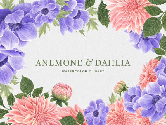 Anemone & Dahlia Flowers Clipart