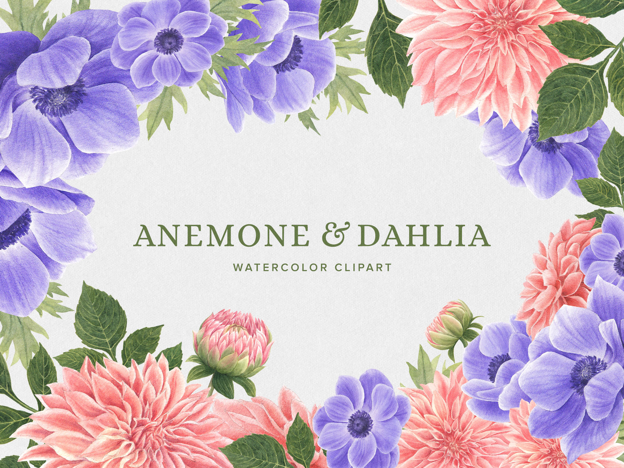 Anemone & Dahlia Flowers Clipart