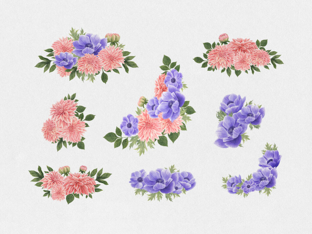 Anemone & Dahlia Flowers Clipart