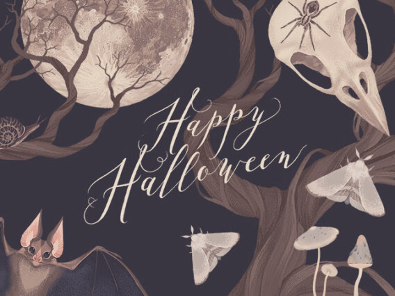 Natural Halloween Graphic Set