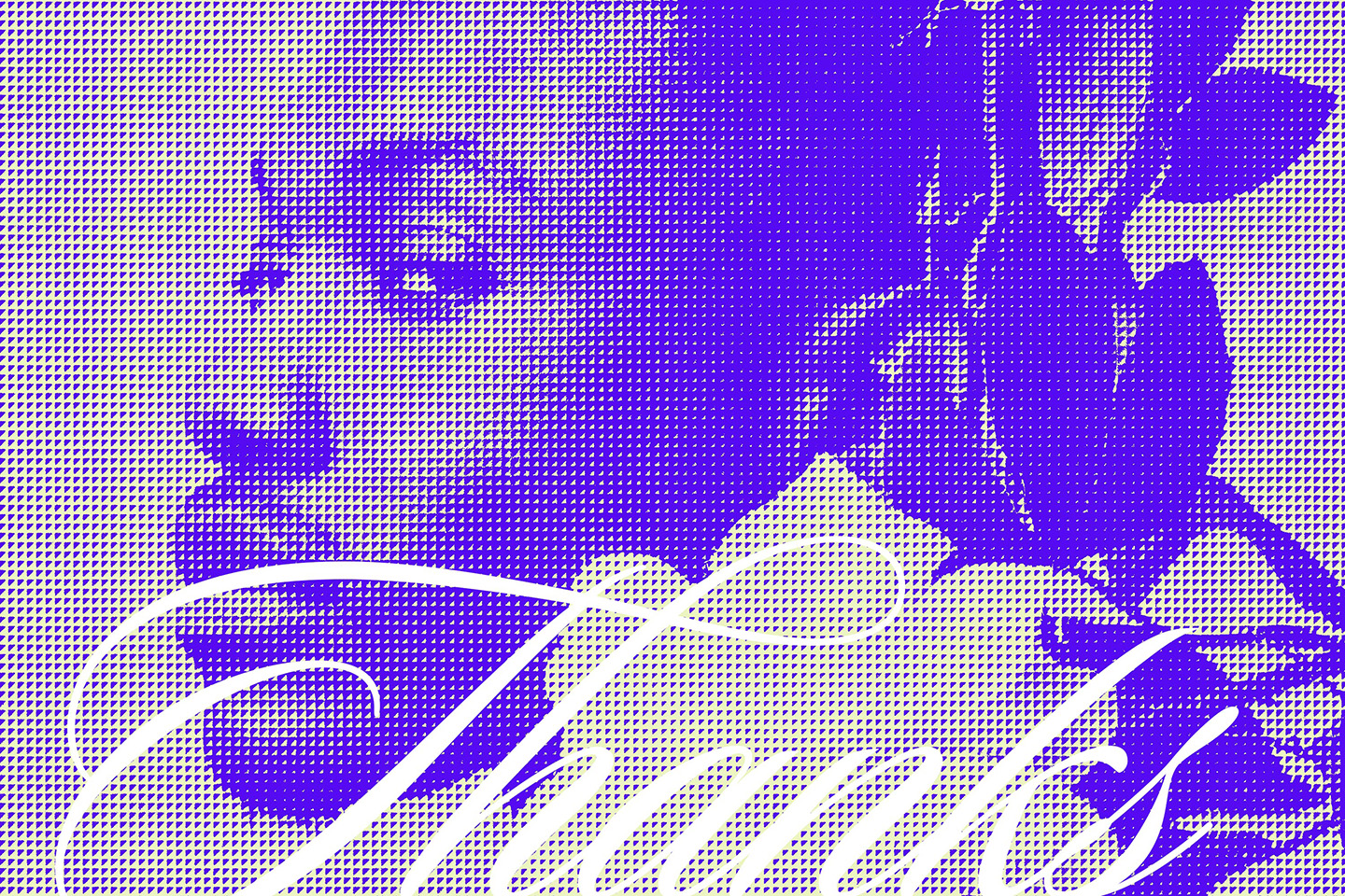 Classic Halftone Photoshop Action