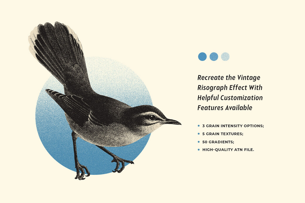 Risograph Grain Photoshop Action by Pixelbuddha