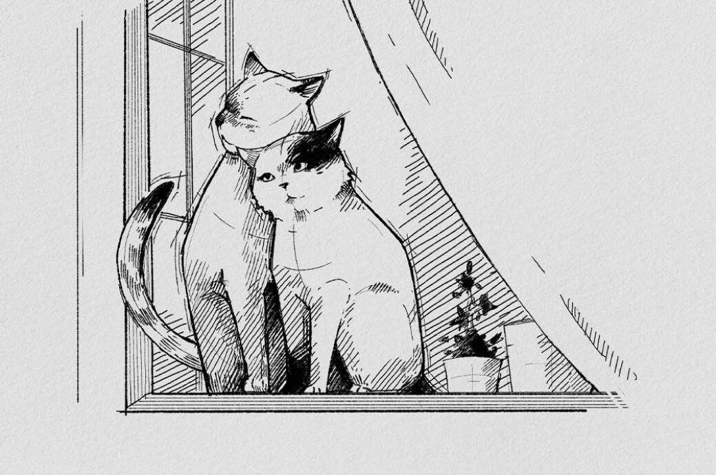 Sketch Procreate Brushes