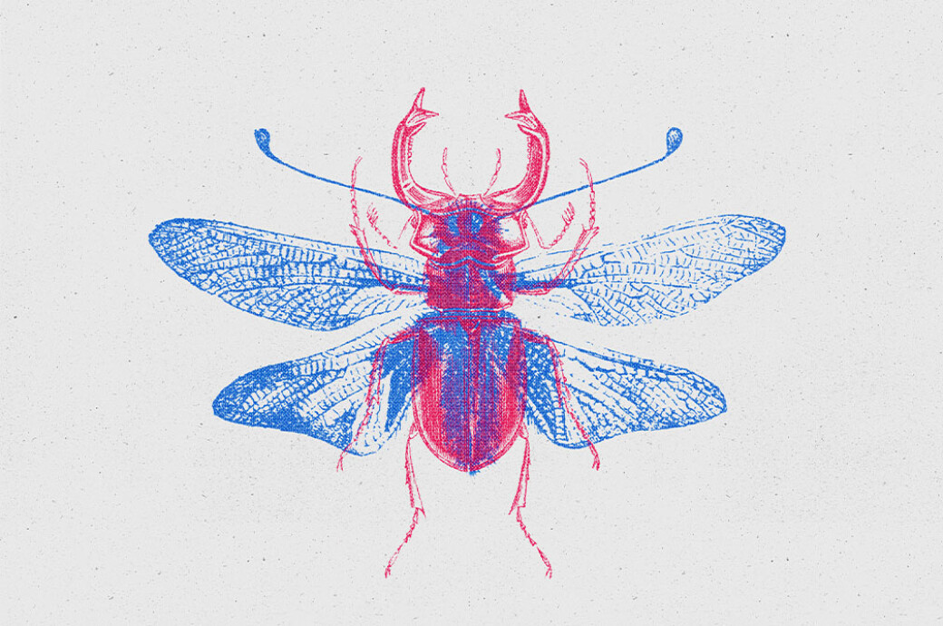 Overprint Photo Effect