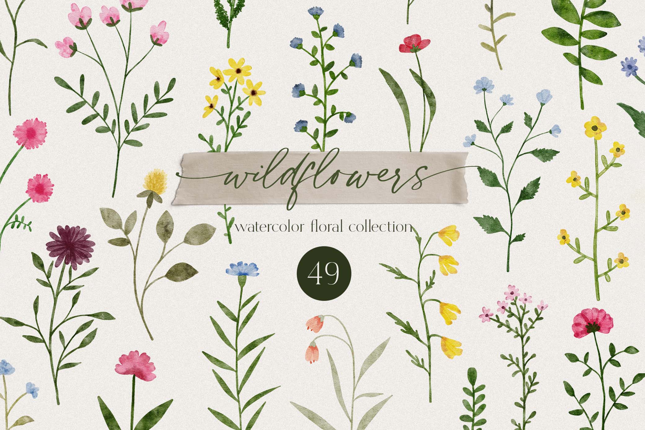 Wildflowers Watercolor Collection