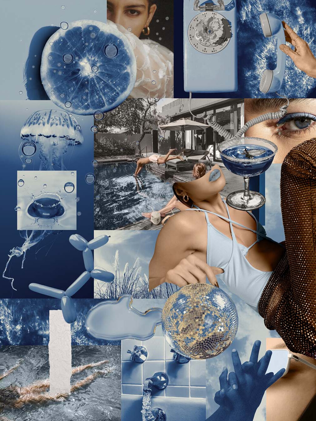 Metamorphosis — Collage Elements Pack