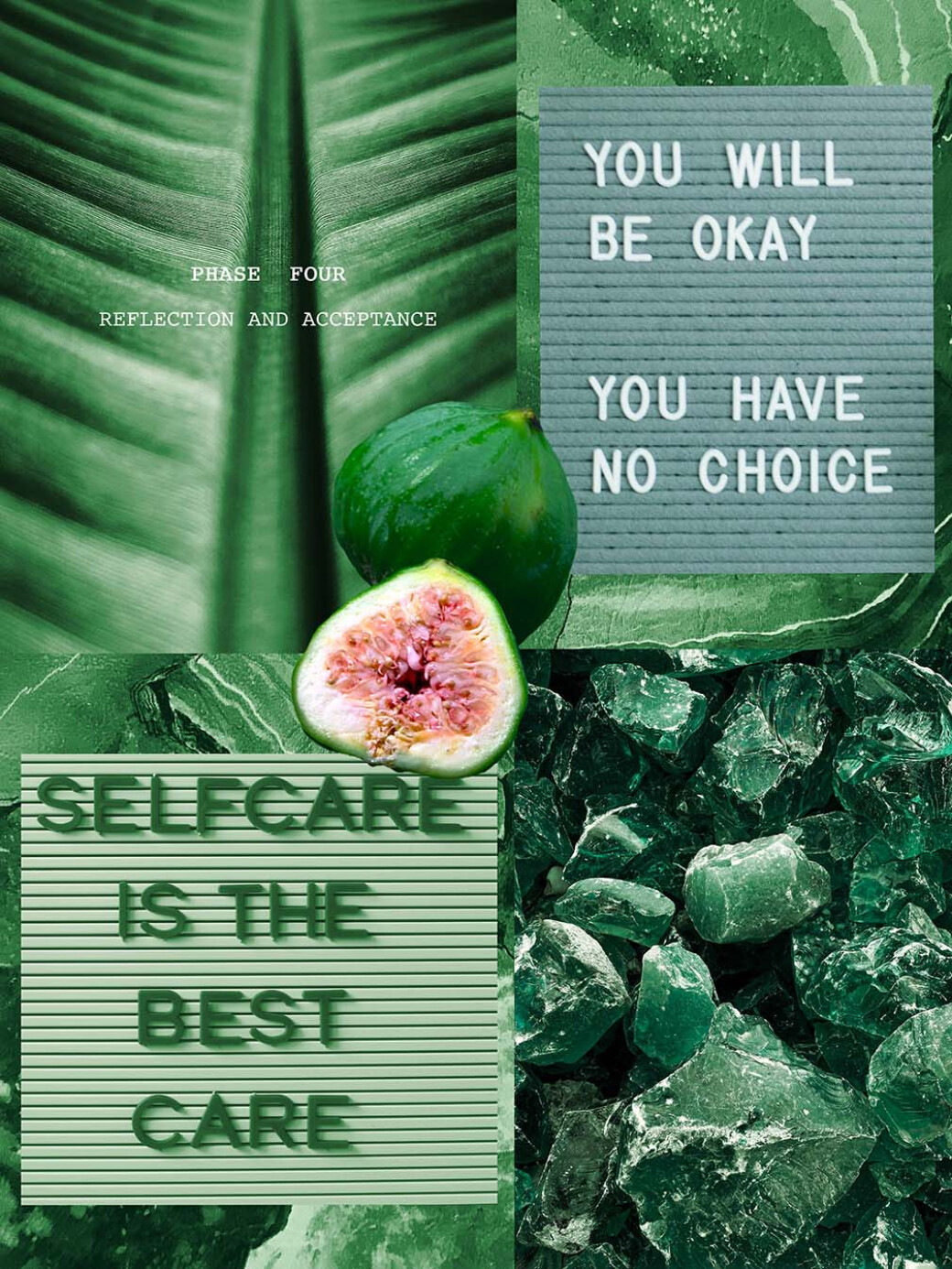 Metamorphosis — Collage Elements Pack