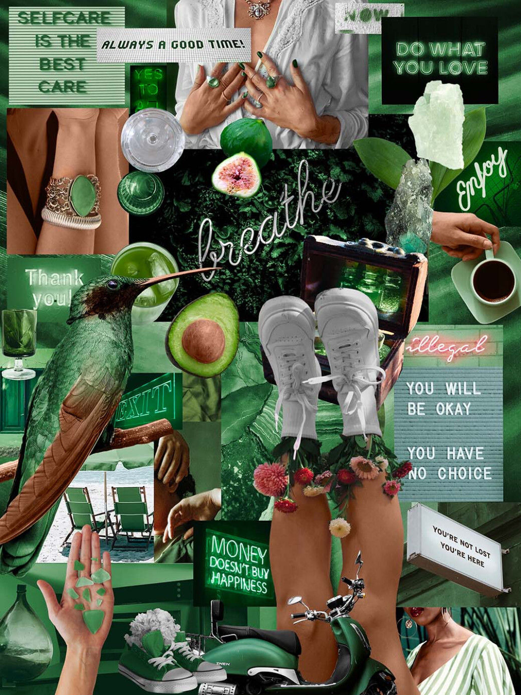 Metamorphosis — Collage Elements Pack