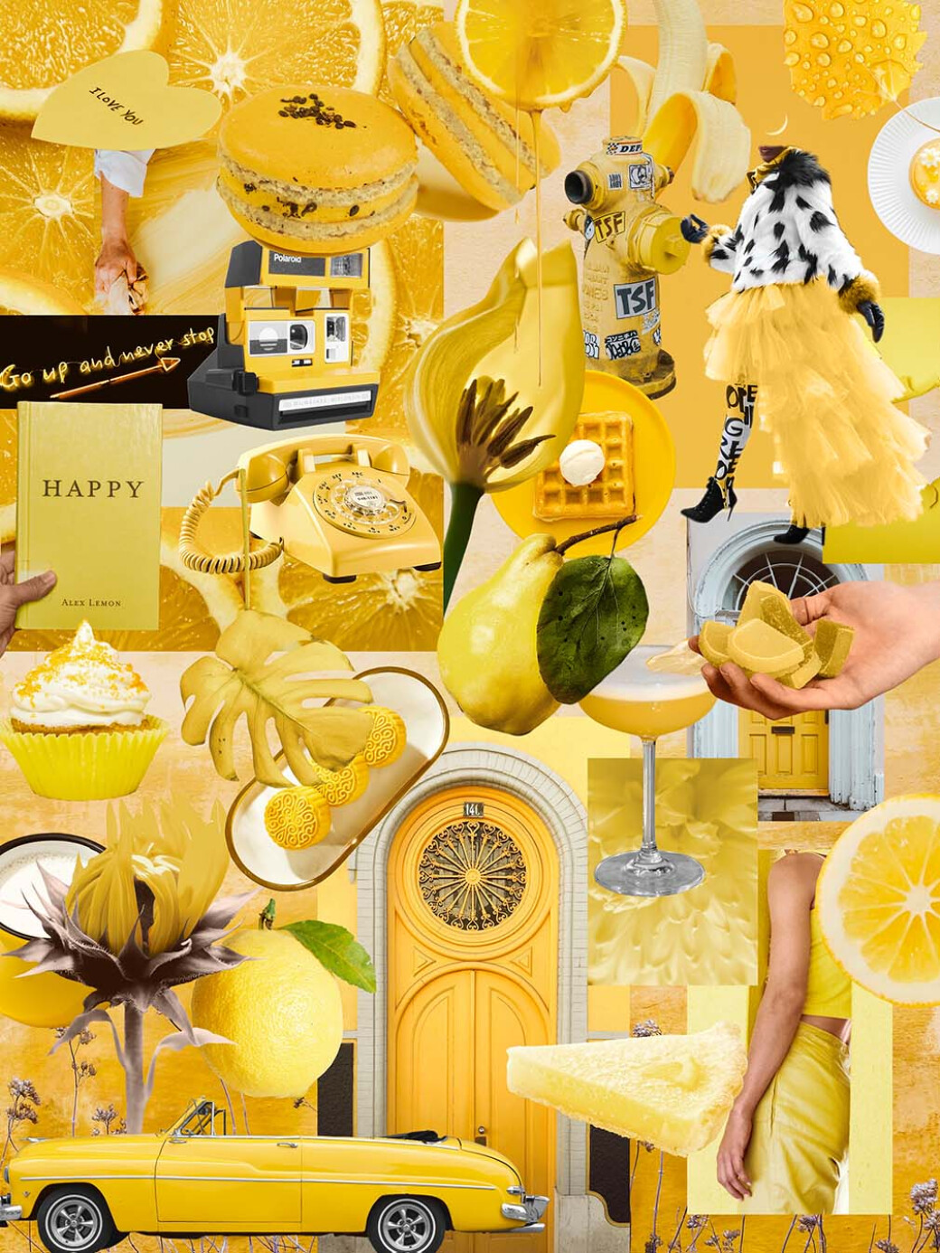 Metamorphosis — Collage Elements Pack