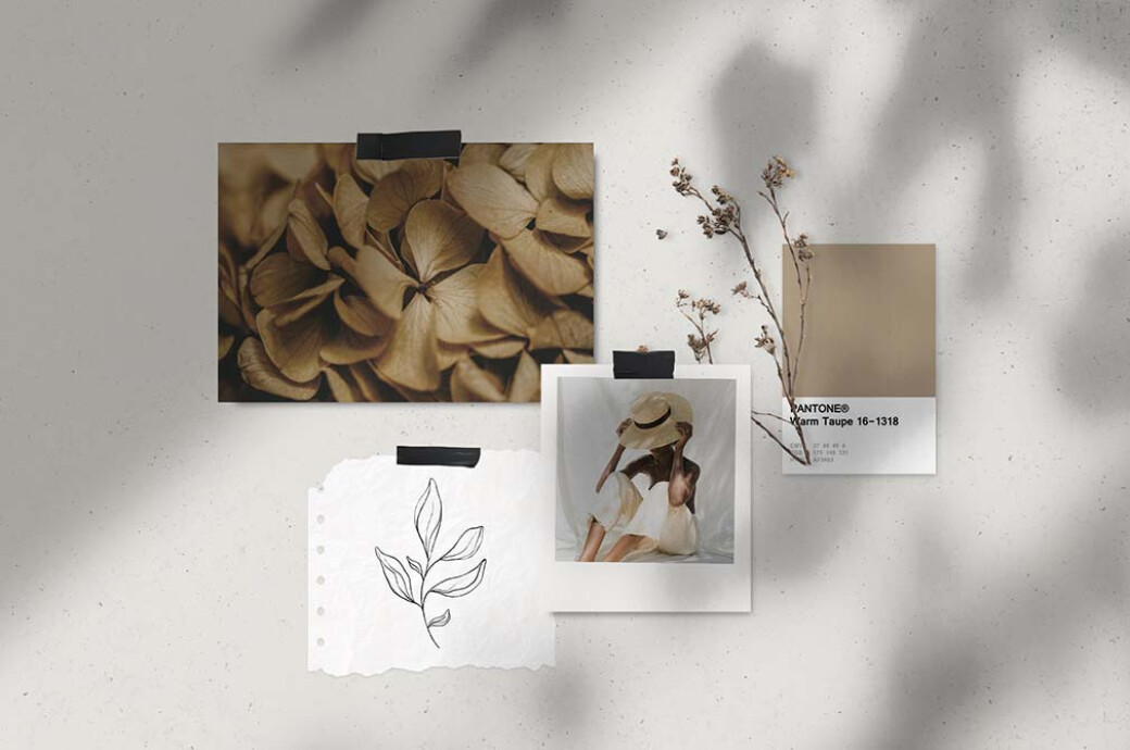 Botanical Line Art Pack