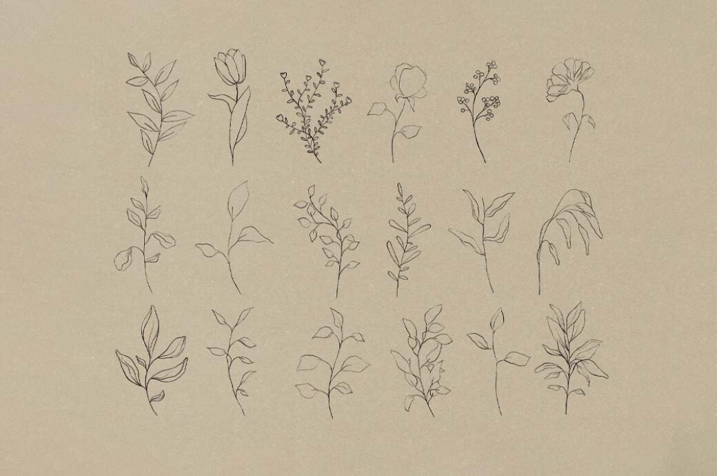 Botanical Line Art Pack