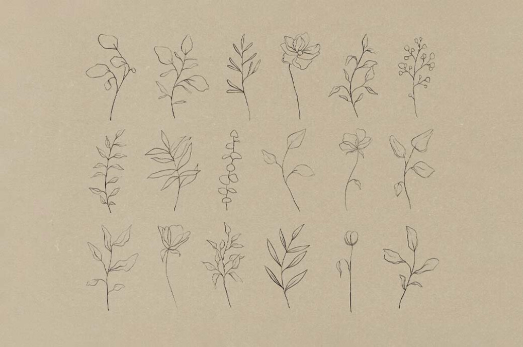 Botanical Line Art Pack