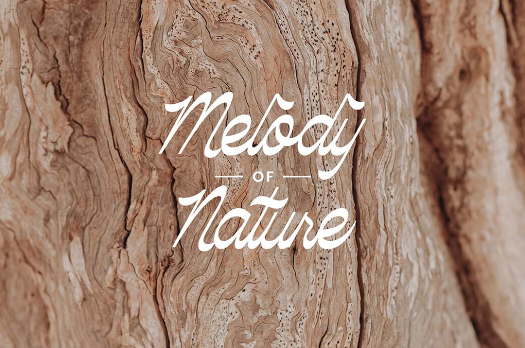 Palmhead Classy Script Font