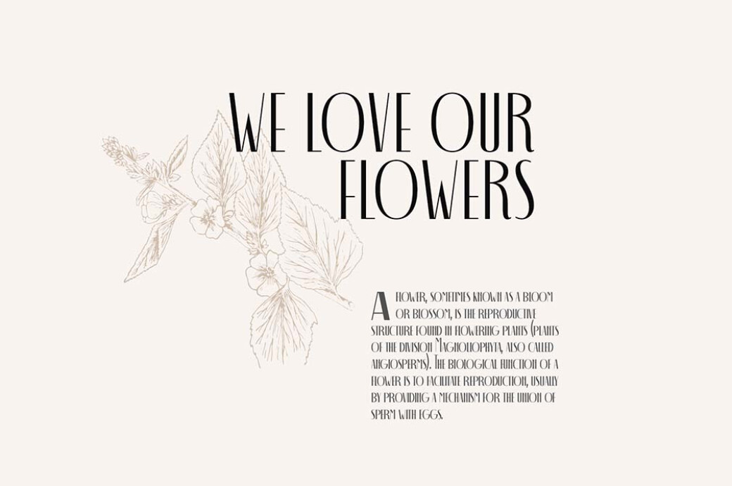 Decohead Display Font