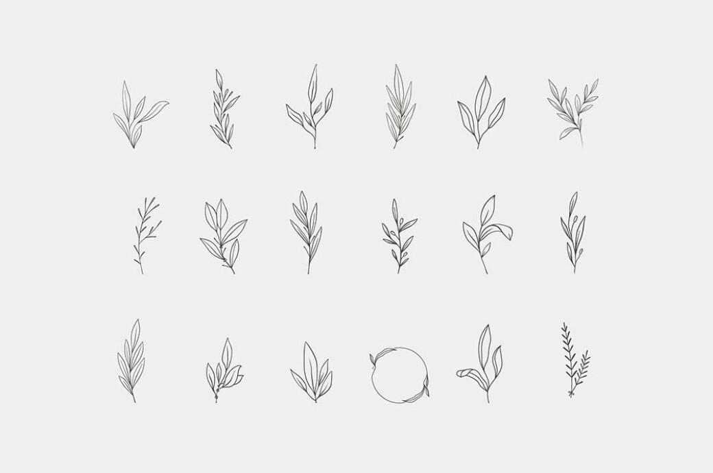 Floral Graphics & Logo Templates