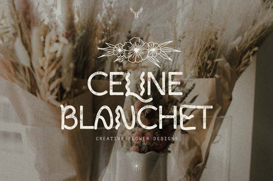 Poppy Bonfire — Modern Display Font