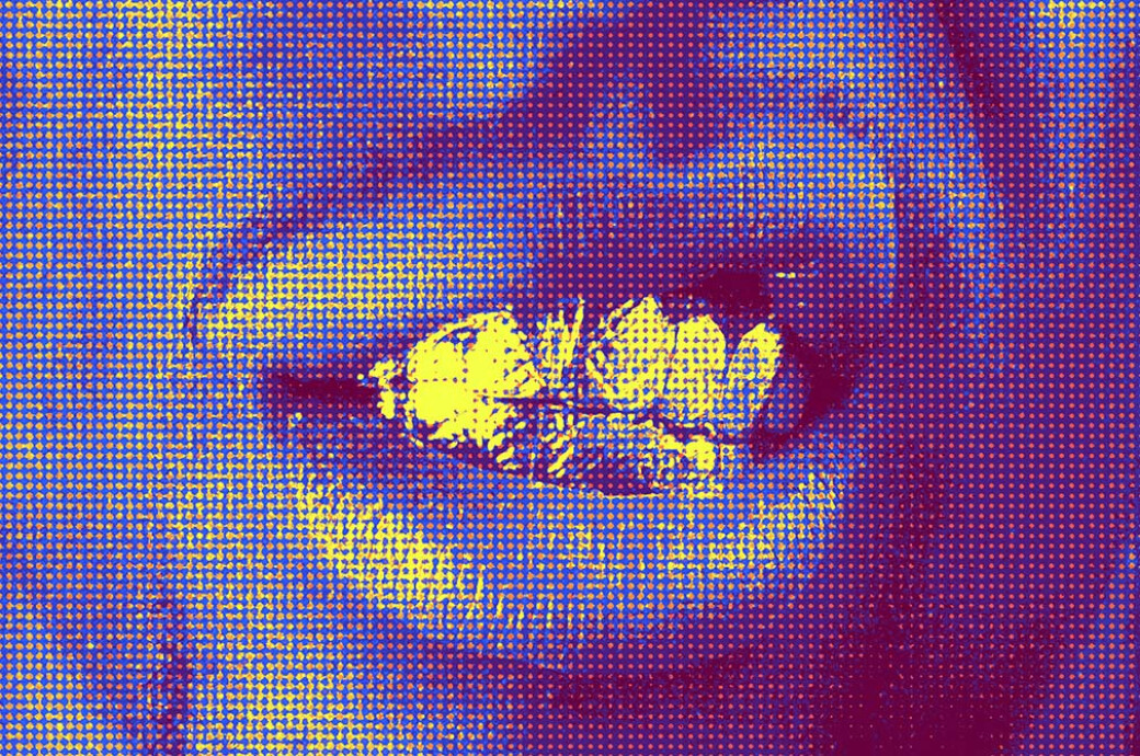 70s Acid Halftone Photo Effect