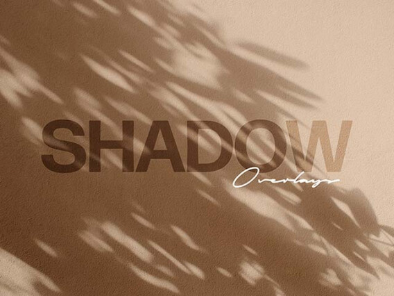 Botanical Shadow Photo Overlays