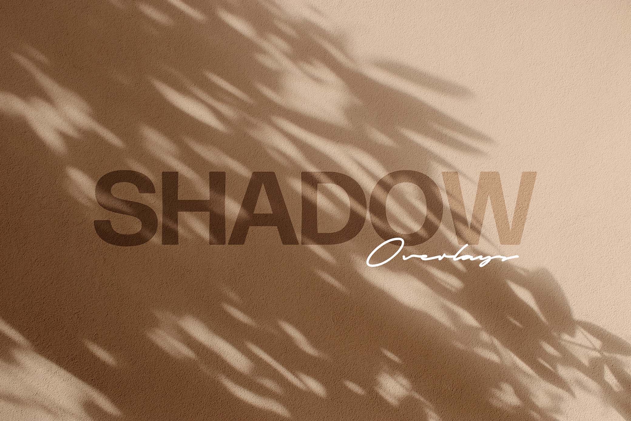 Botanical Shadow Photo Overlays
