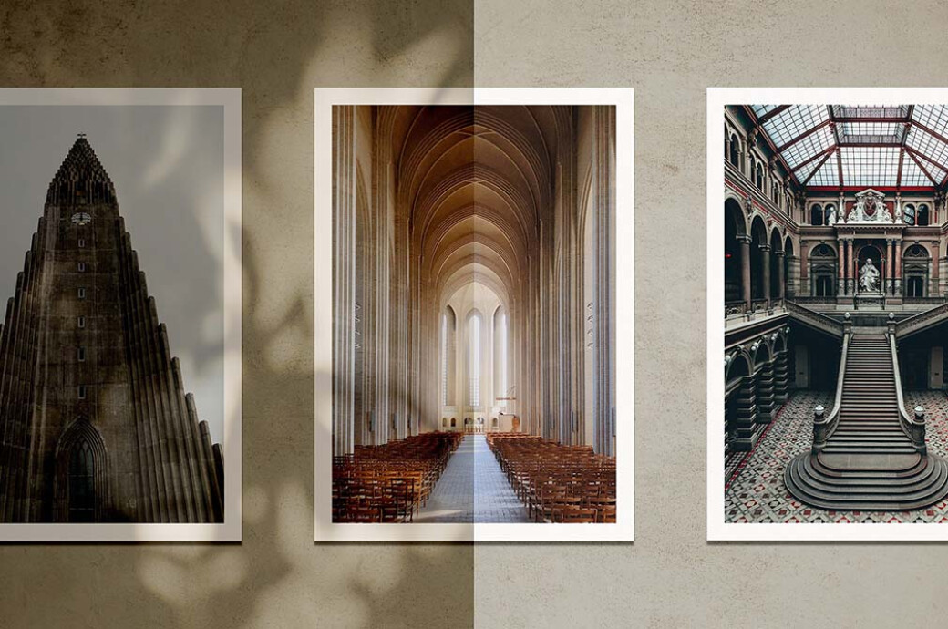 Botanical Shadow Photo Overlays