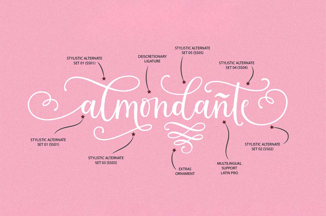 Montgova Script Font