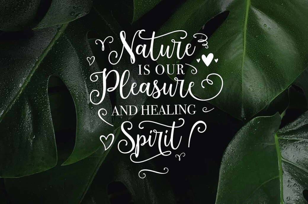 Montgova Script Font