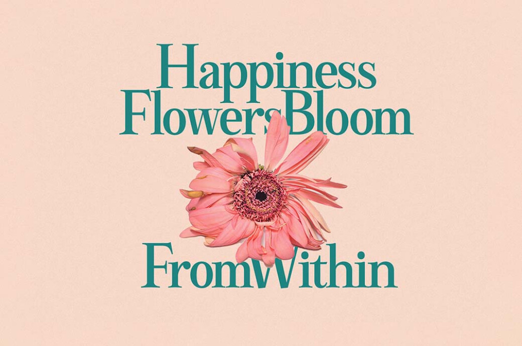 Brightlight Font Family