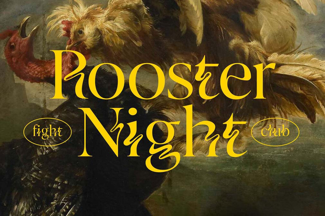 Zighead Display Font