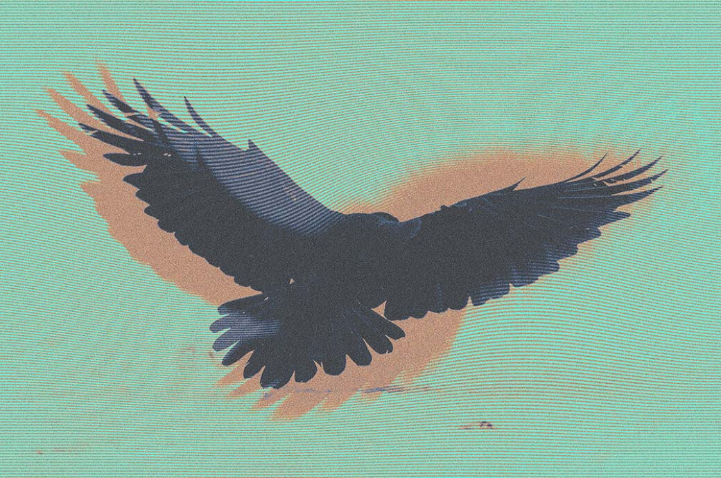 Lost Signal Photo Effect