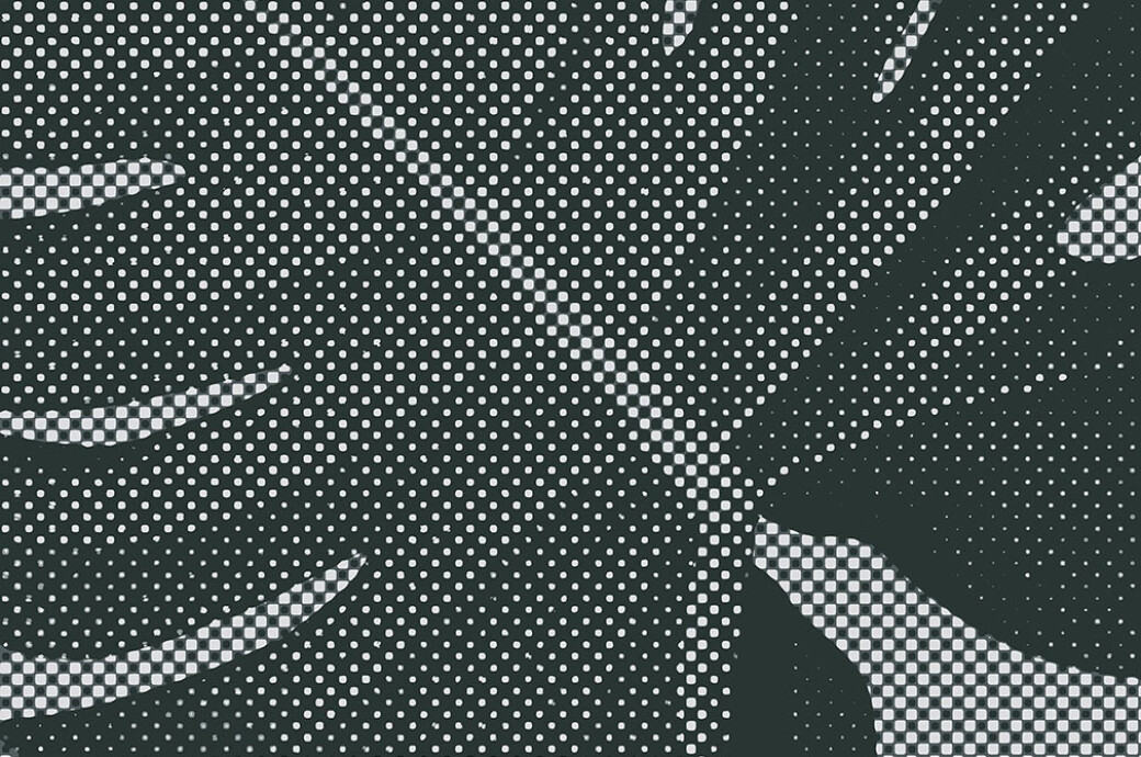 Hype Halftone Photoshop Action