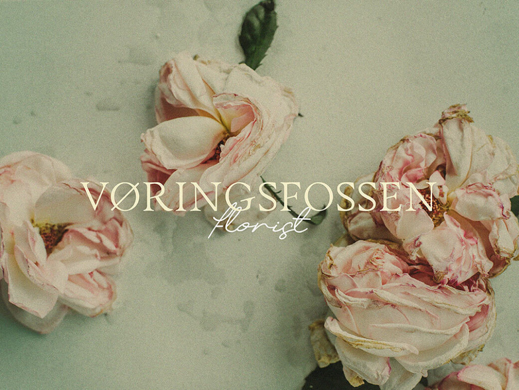 Myona Serif & Elfani Script Fonts