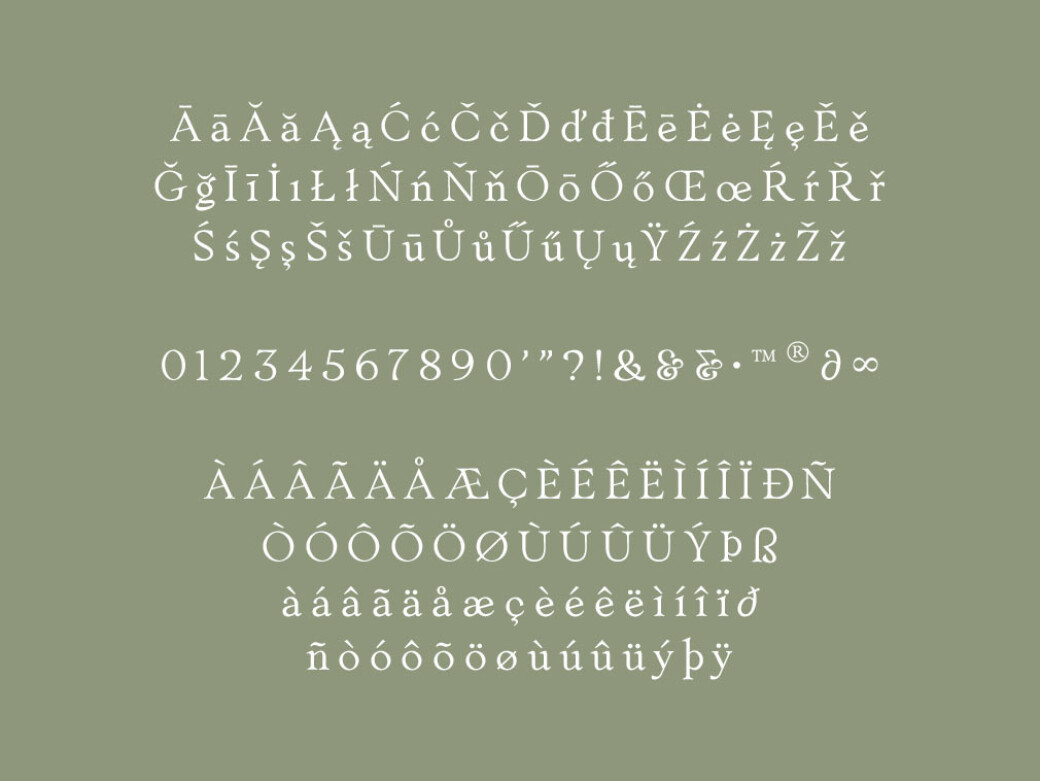 Myona Serif & Elfani Script Fonts