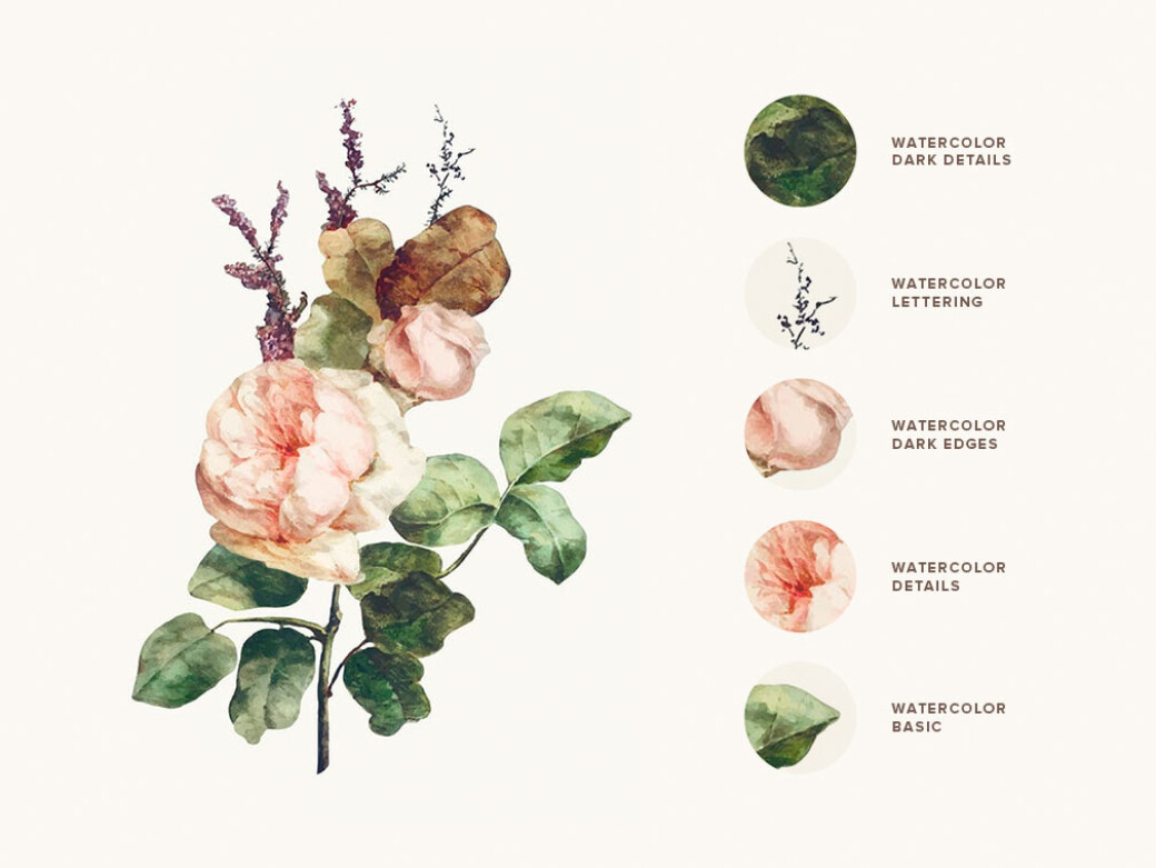 Watercolor Procreate Brushes