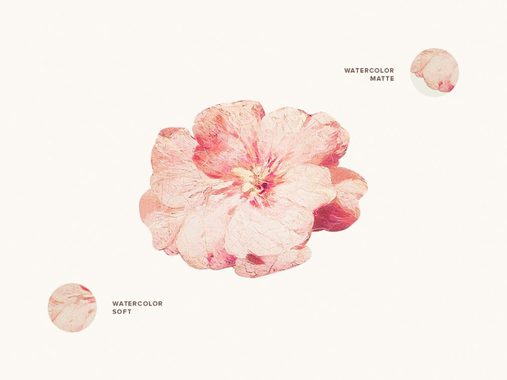 Watercolor Procreate Brushes