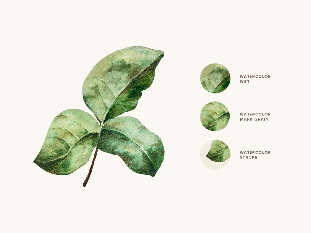 Watercolor Procreate Brushes