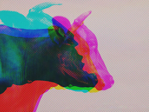 Toxic Potion Glitch Actions