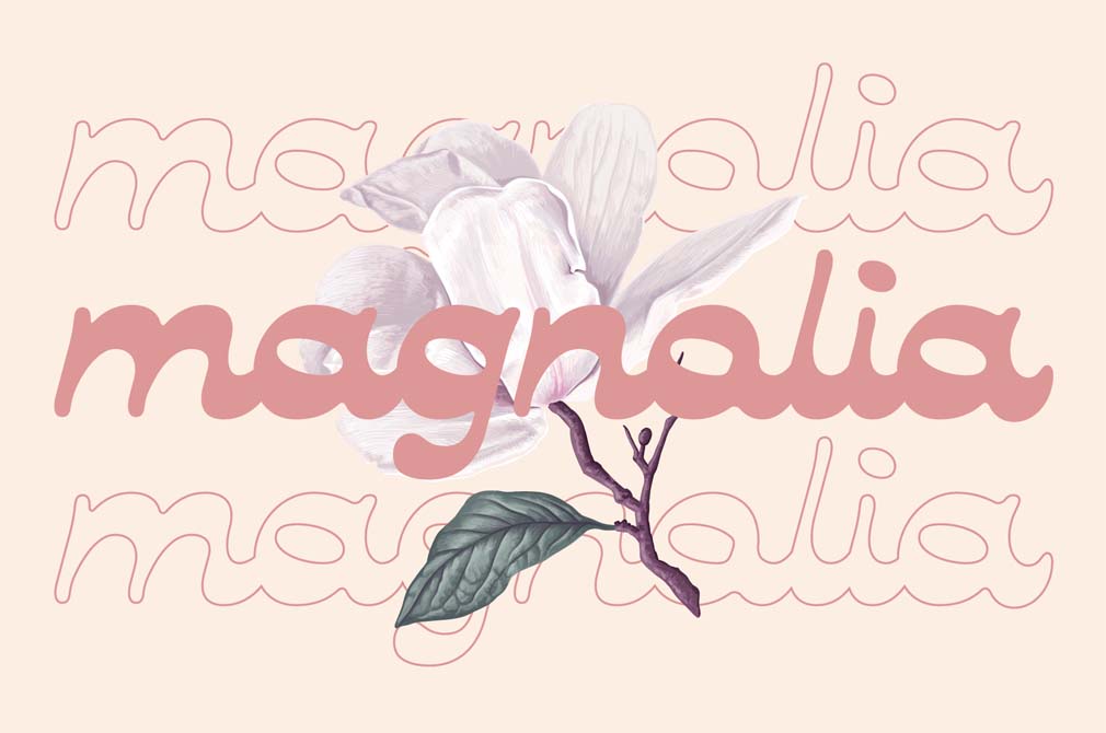 Lautren | Reverse Contrast Script