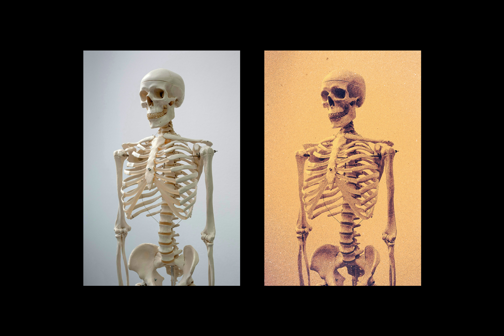 Download Retro Grainy Duotone Photo Effect