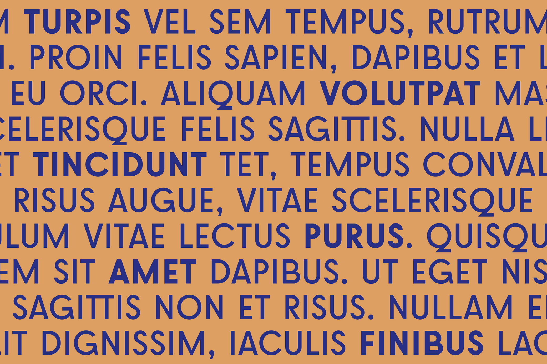 Brosqua Geometric Display Fonts