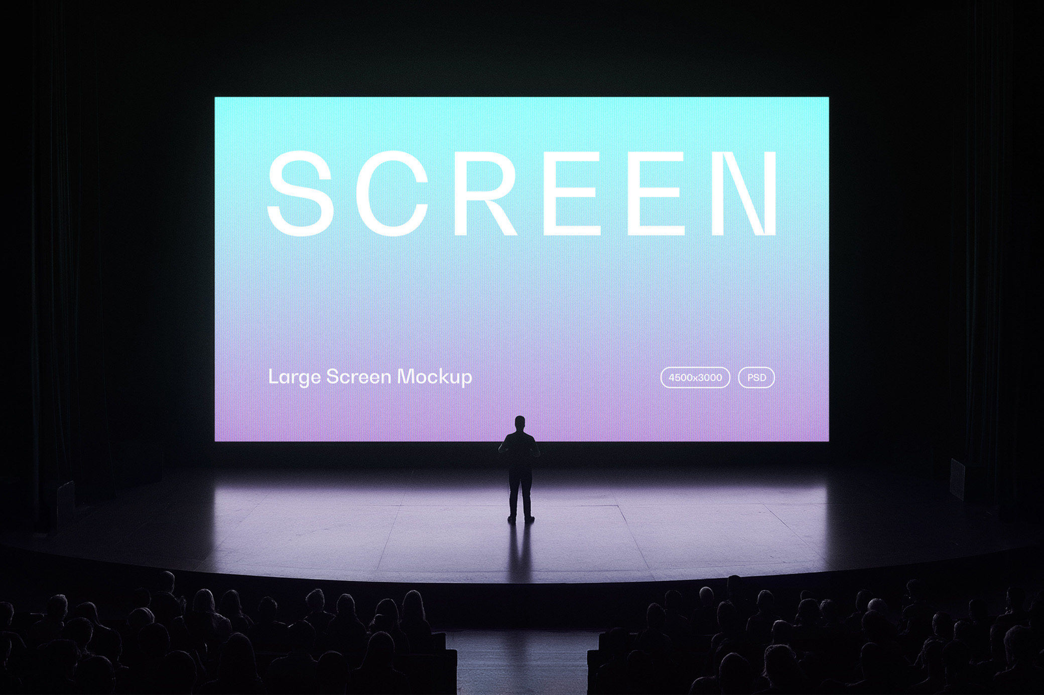Stage Screen Mockup