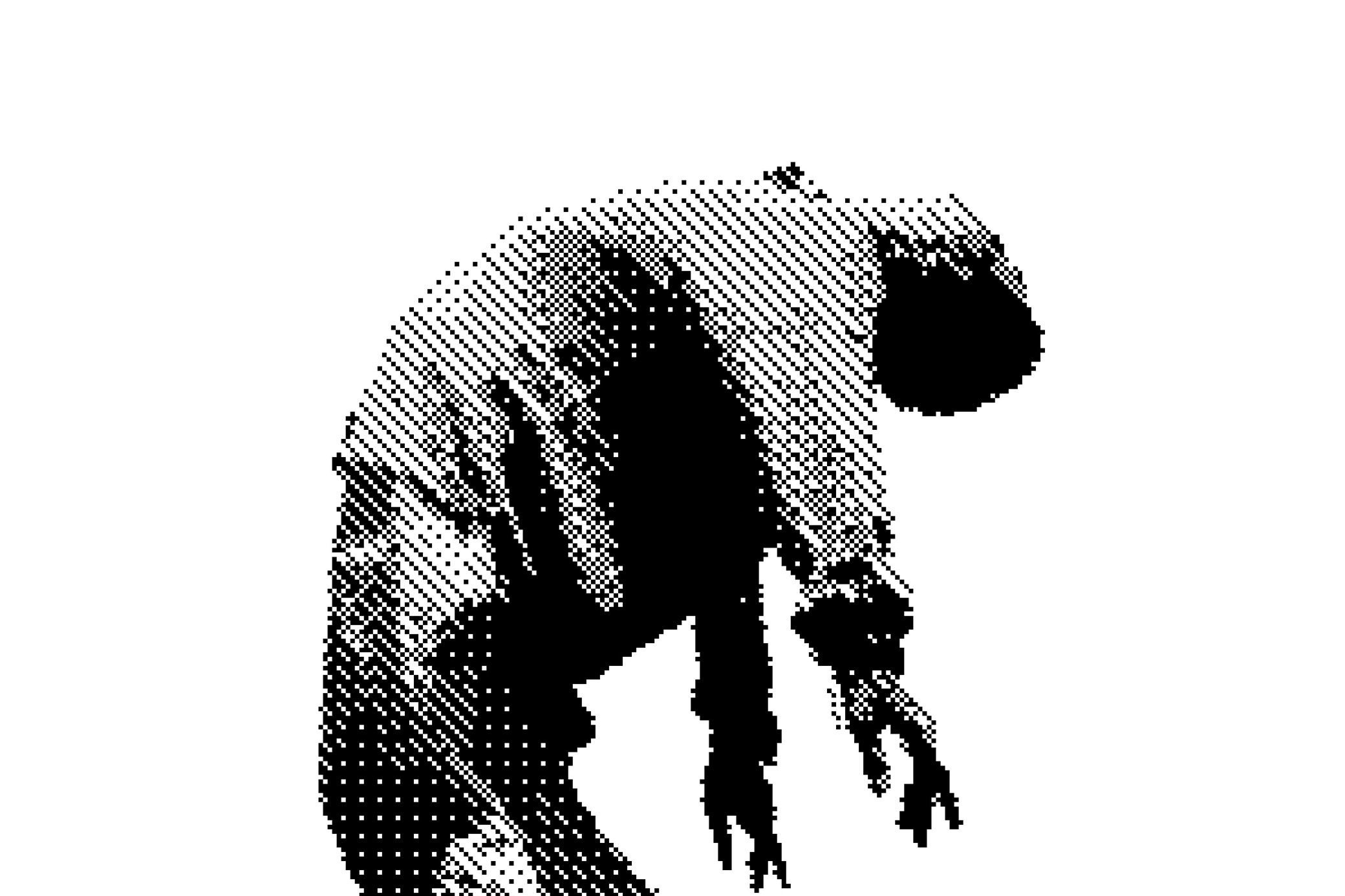 Dithering Bitmap Photo Effect