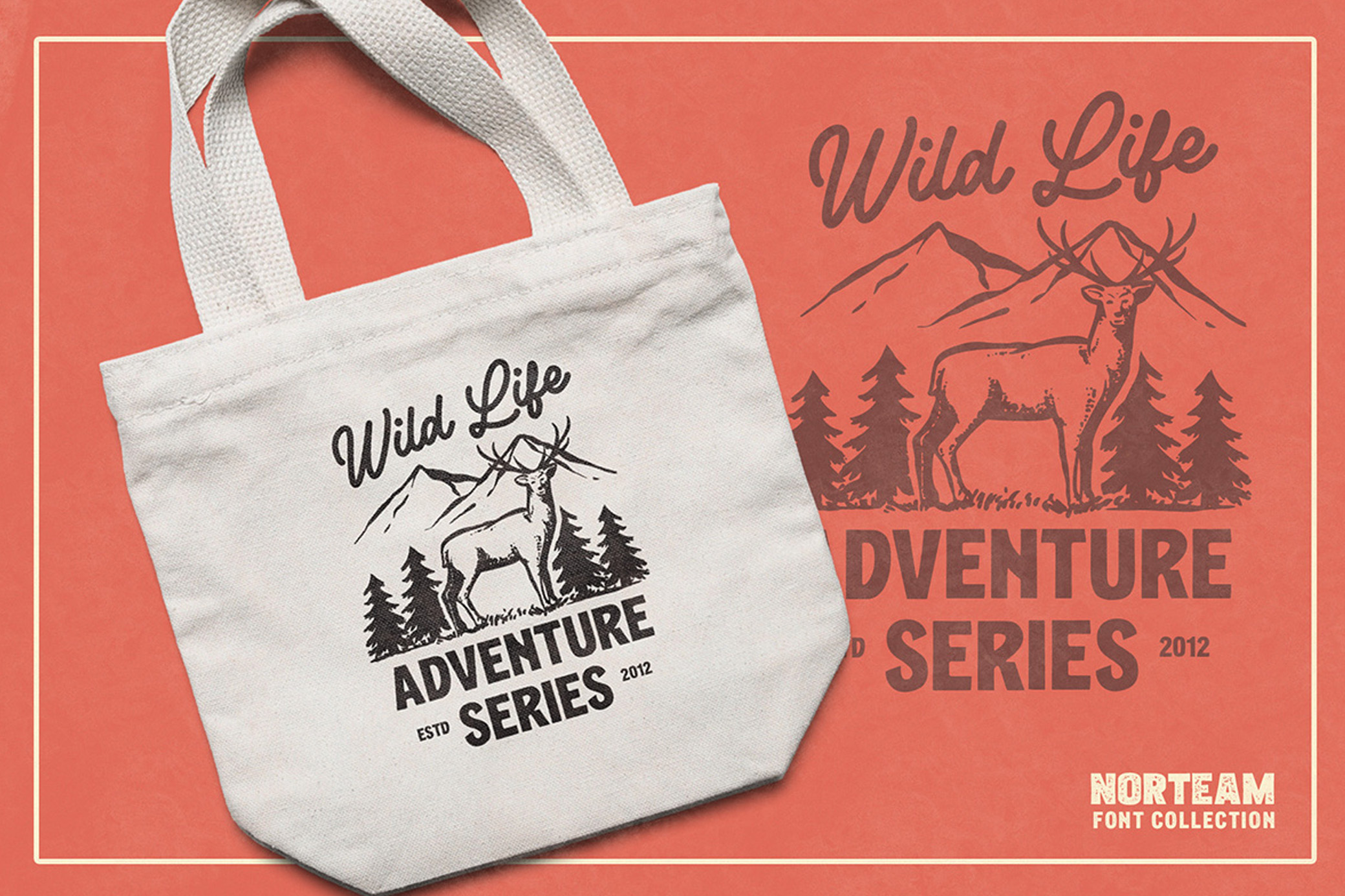 Norteam | Font Collection