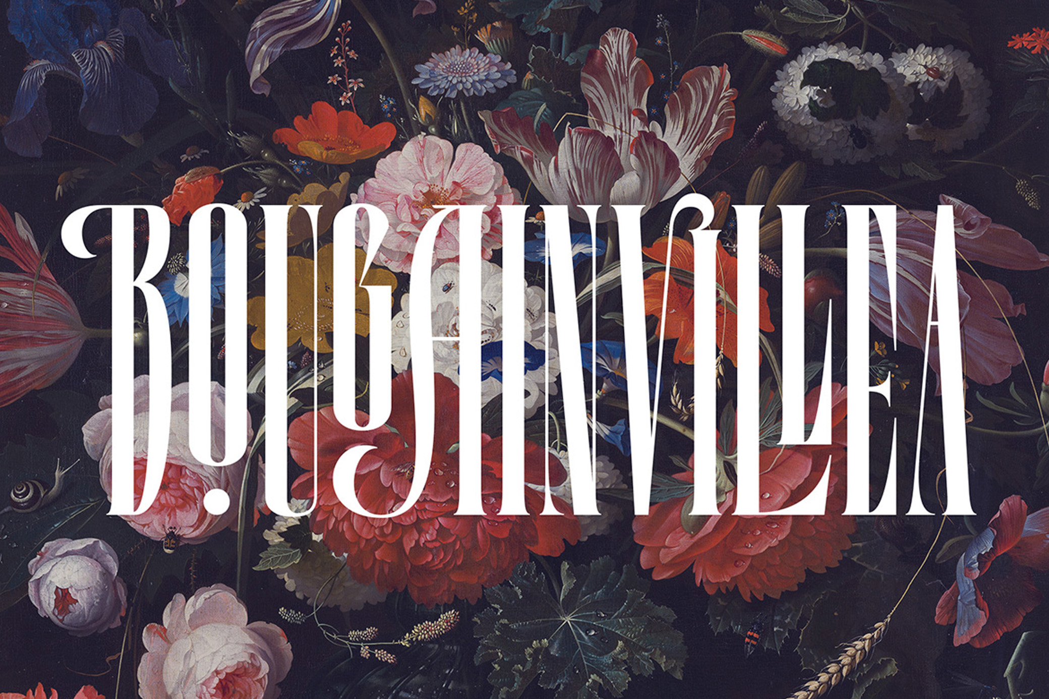 Download Lorida — Condensed Display