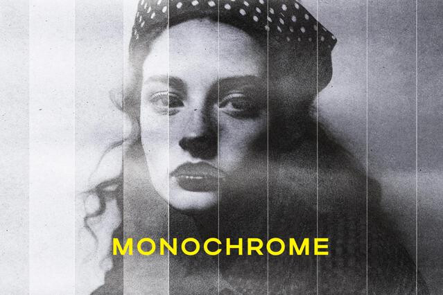 Monochrome Copy Photo Effect