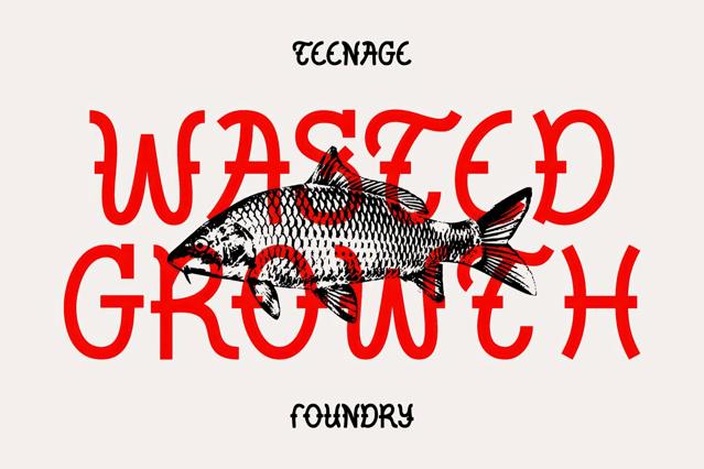 Download TF Wasted Growth — Display Font
