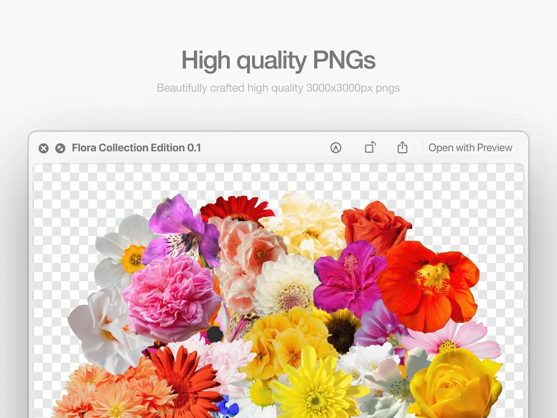 Flora 0.1 — 30 Floral PNGs